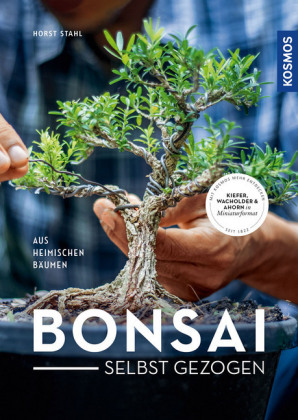 Bonsai - selbst gezogen