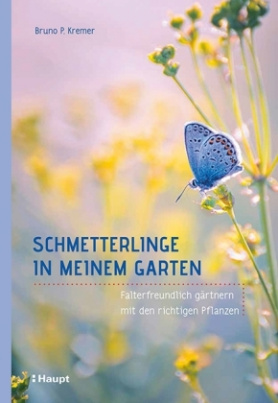 Schmetterlinge in meinem Garten