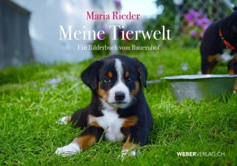 Meine Tierwelt