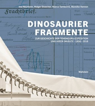Dinosaurierfragmente