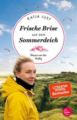 Frische Brise auf dem Sommerdeich