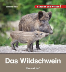 Das Wildschwein