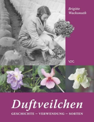 Duftveilchen