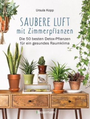 Saubere Luft mit Zimmerpflanzen