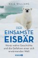 Der einsamste Eisbär