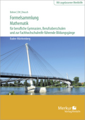 Formelsammlung Mathematik für berufliche Gymnasien, Berufsoberschulen und zur Fachhochschulreife führende Bildungsgänge