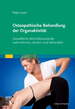 Osteopathische Behandlung der Organaktivität