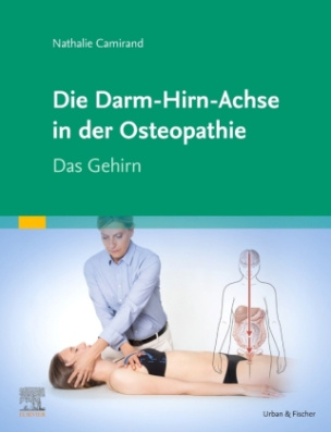 Die Darm-Hirn-Achse in der Osteopathie