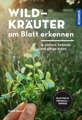 Wildkräuter am Blatt erkennen