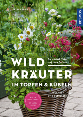 Wildkräuter in Töpfen & Kübeln