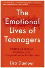 The Emotional Lives of Teenagers