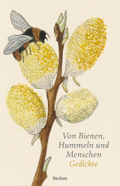 Von Bienen, Hummeln und Menschen