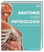 Anatomie und Physiologie