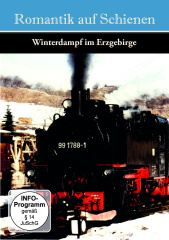 Winterdampf im Erzgebirge