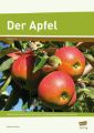 Der Apfel