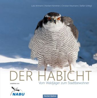 Der Habicht