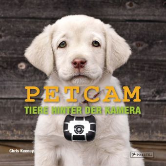 PETCAM