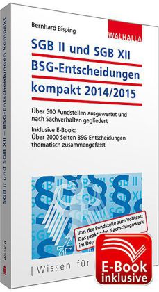 SGB II und SGB XII - BSG-Entscheidungen kompakt 2014/2015