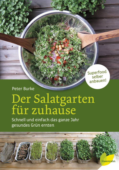 Der Salatgarten für Zuhause