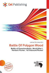 Battle Of Polygon Wood